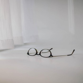 Brown bear cushion